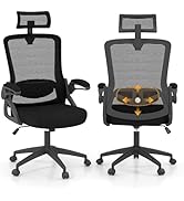 COSTWAY Ergonomic Mesh Office Chair, Adjustable Height Swivel Executive Chair with 2D Headrest, 2...