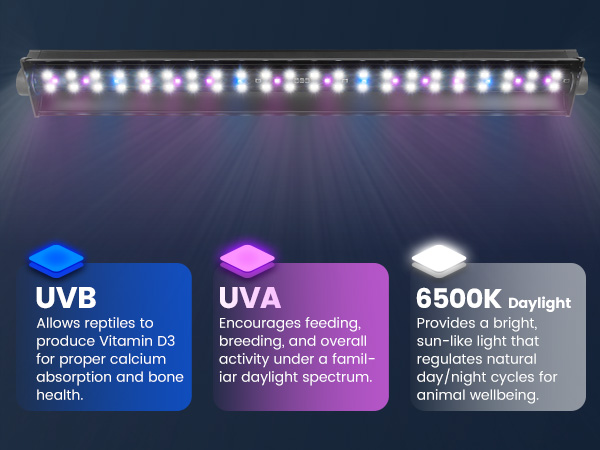 UVB LED Reptile Light