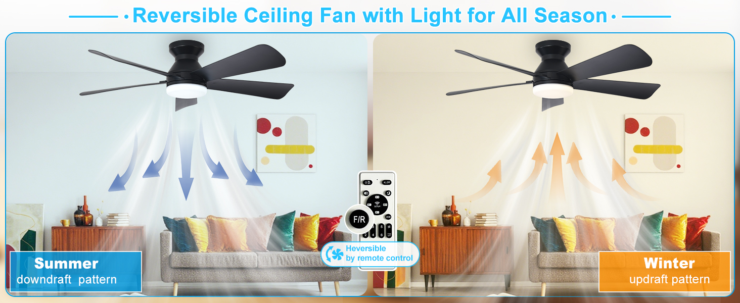 black ceiling fan