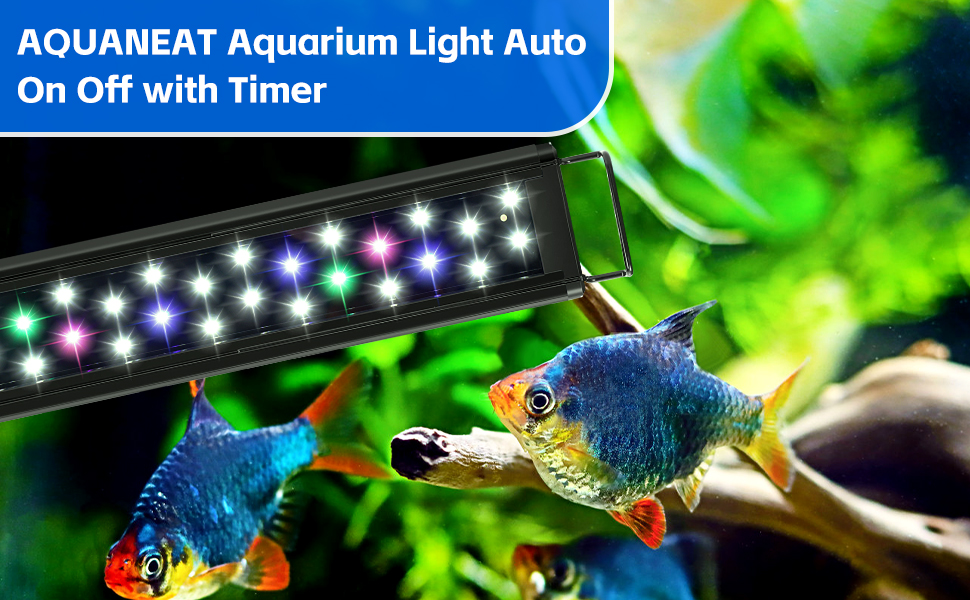 Aquarium Light with Timer