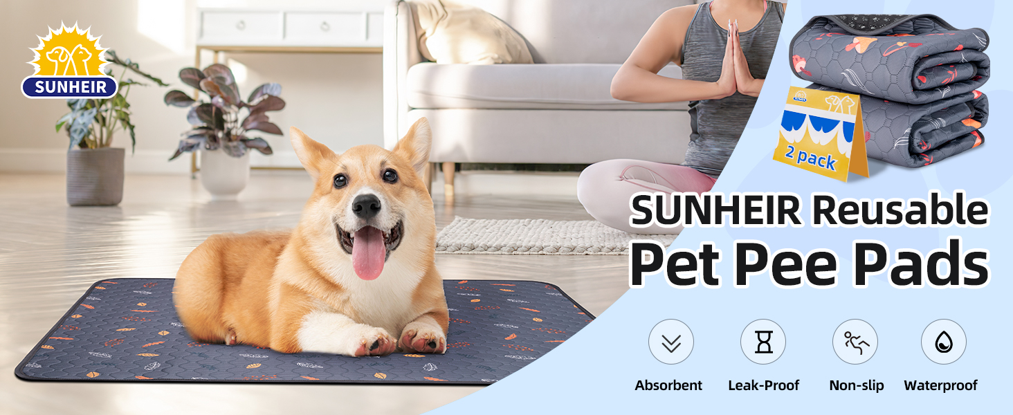 Pee Pad