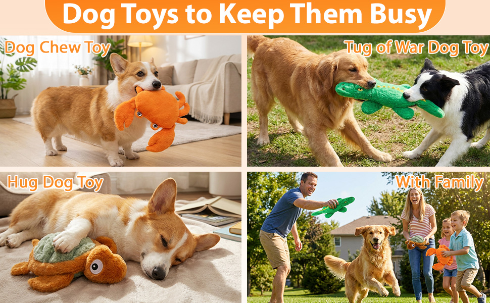 dog toy set
