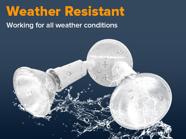 Switch Controlled Security Lights