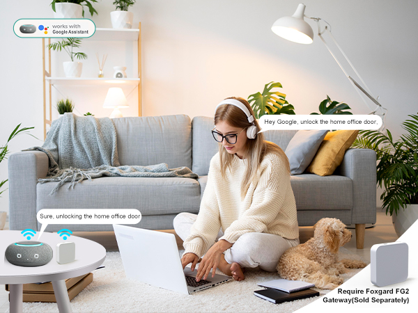 Compatiable with Google Assistant