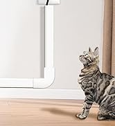 Series of photos showing a gray tabby cat in various resting positions on what appears to be light-colored flooring or furniture.