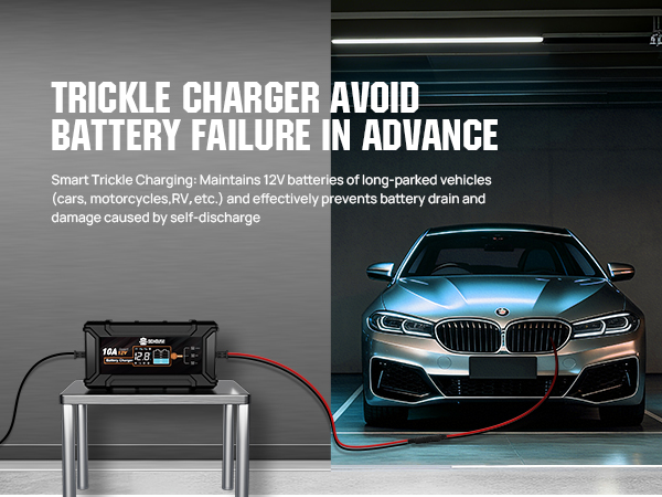 lifepo4 battery charger