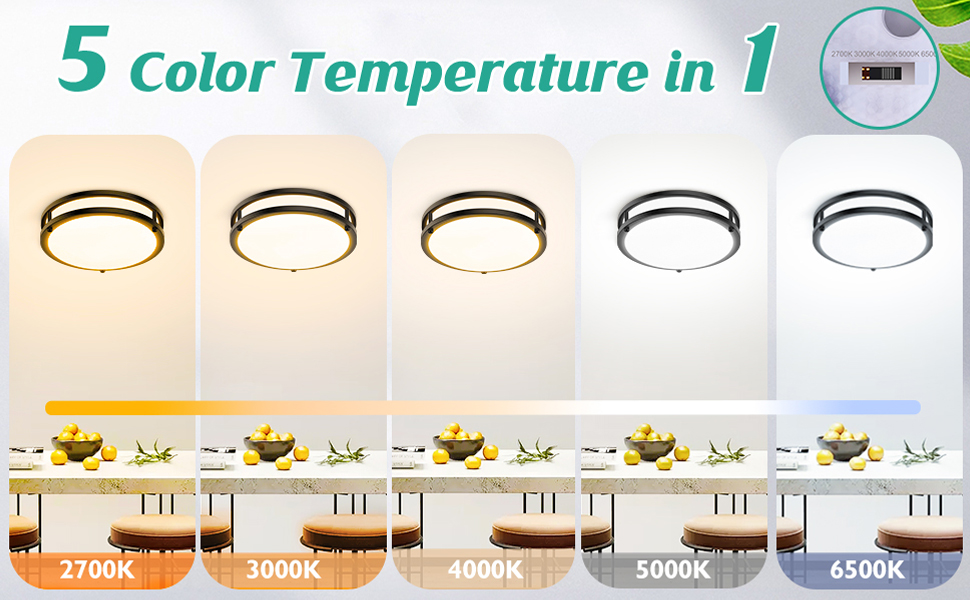 flush mount ceiling light