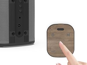 computer speakers with control pod