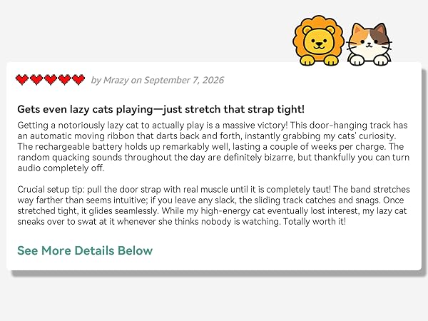 cat rope toy
