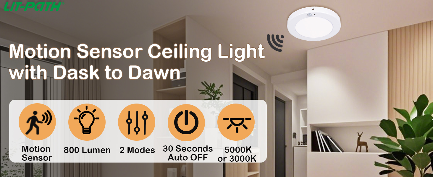 motion sensor ceiling light 