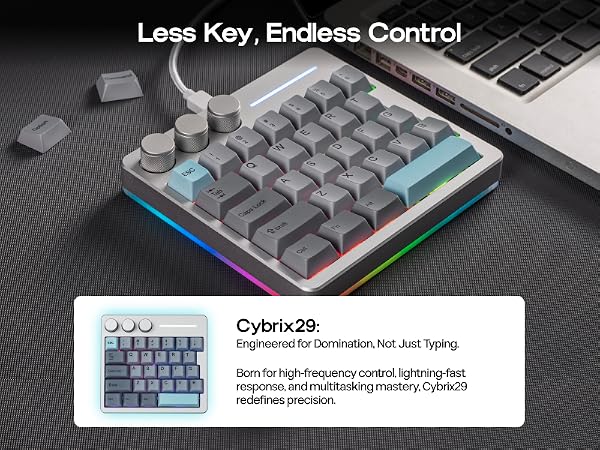 Cybrix29 Silver