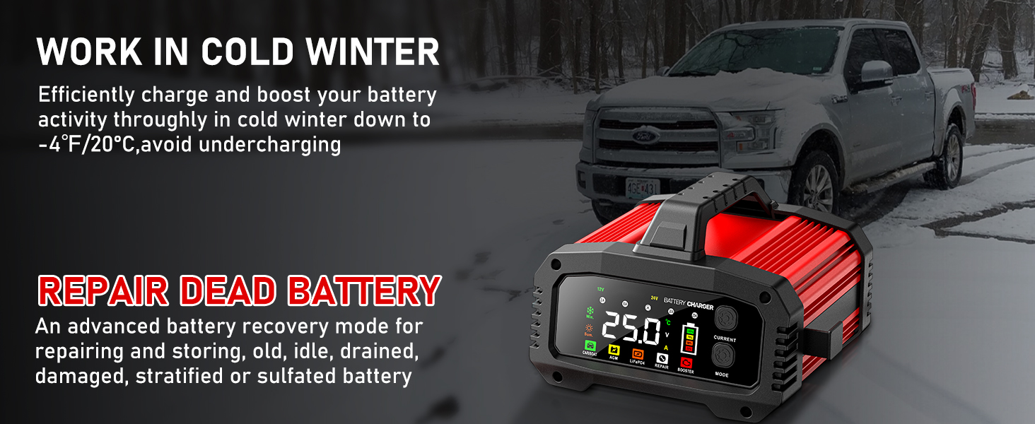 deep cycle charger 12v and 24v