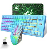 60% Wireless Gaming Keyboard and Mouse Combo 64 Keys RGB Chorma Backlight Rechargeable 4000mAh Ba...