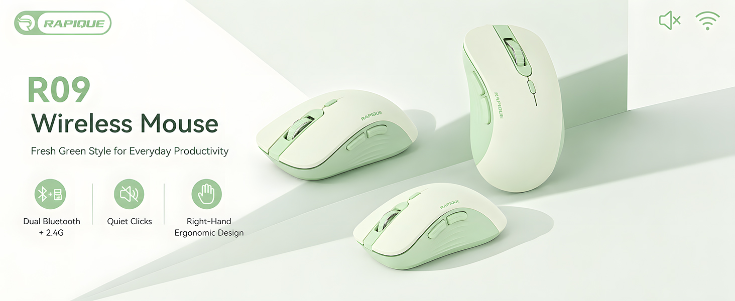 RAPIQUE R09 Bluetooth Wireless Mouse