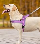 Didog Soft Flannel Padded Dog Vest Harness, No Pull/Quick Fit Reflective Dog Strap Harness, Easy ...