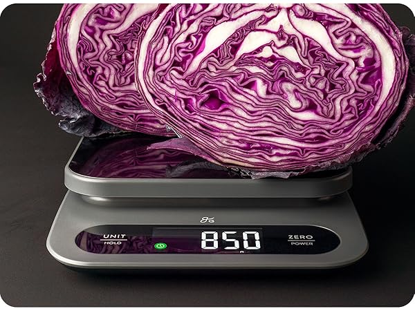 greater goods high capacity scale with large cabbage on weighing surface