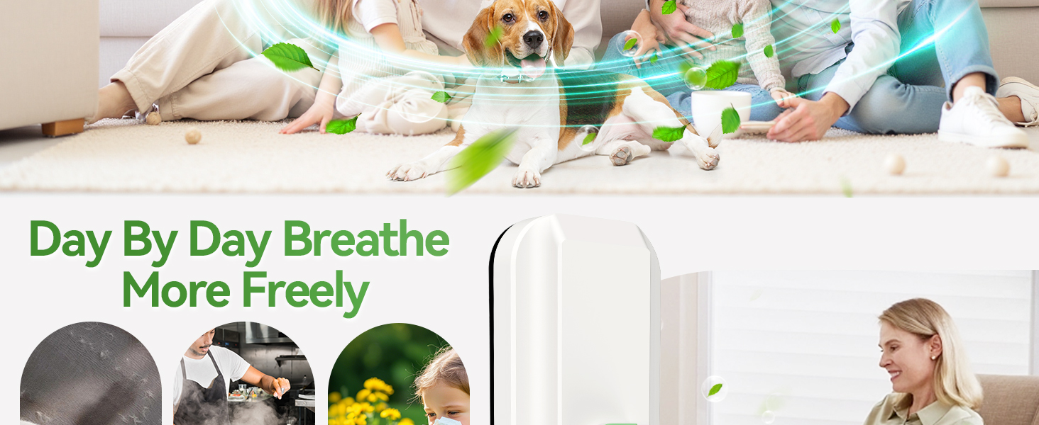 Ionic Air Purifier