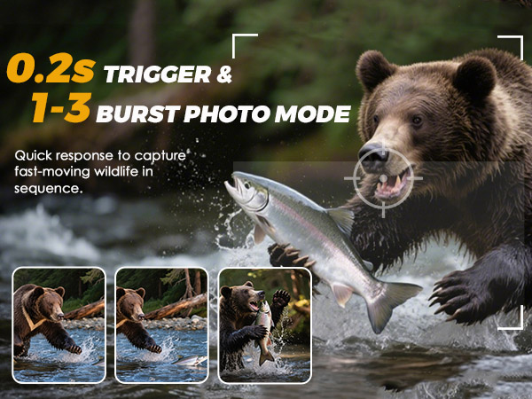 trail camera with night vision motion activated