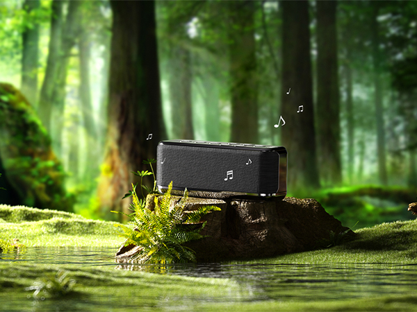 Forest Sound