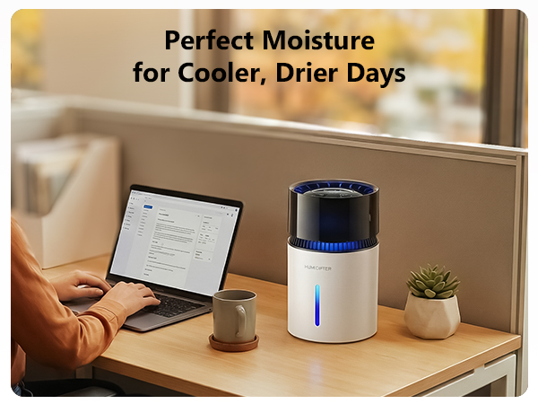 Mist-Free Evaporative Humidifier