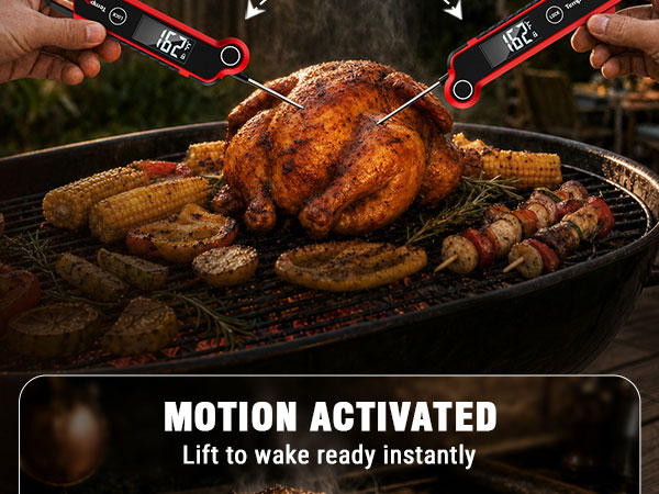 grill thermometer