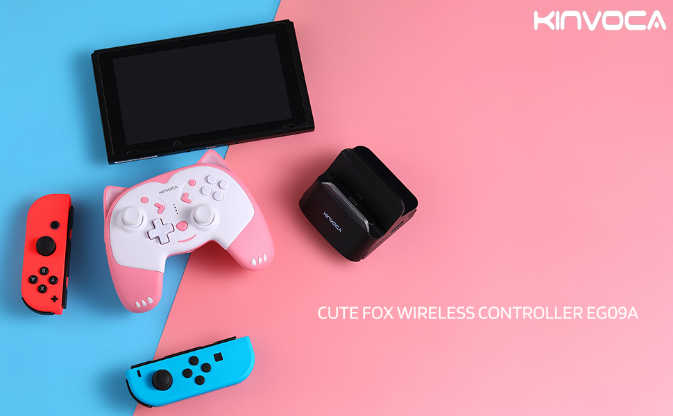 nintendo switch pro controller