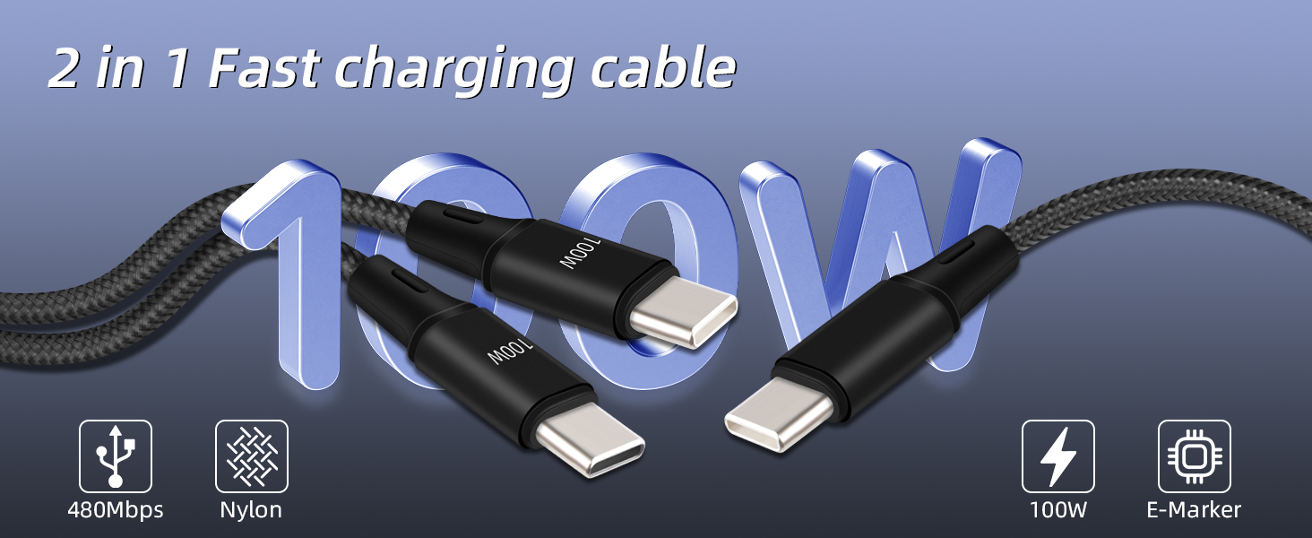 100W USB C Splitter Cable