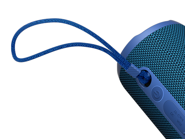 Portable Lanyard