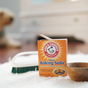 Pure Baking Soda Kitty Litter
