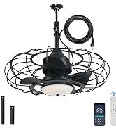 outdoor ceiling fan with light