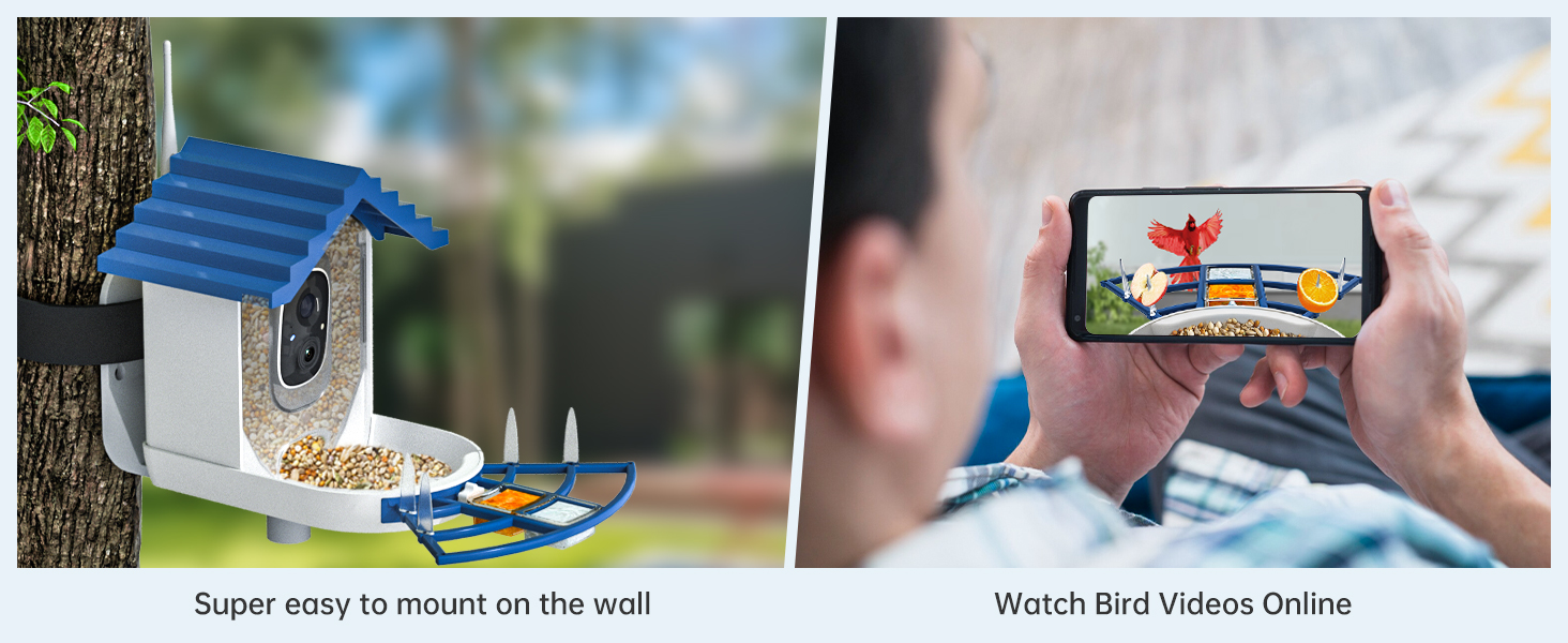 bird feeders for outdoors