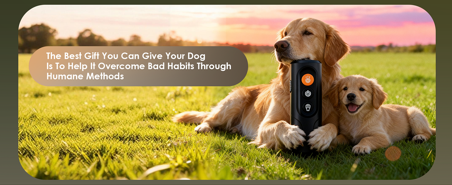 Dog Bark Deterrent Device