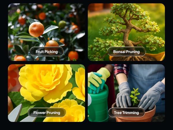 Pruning Shears and Clippers