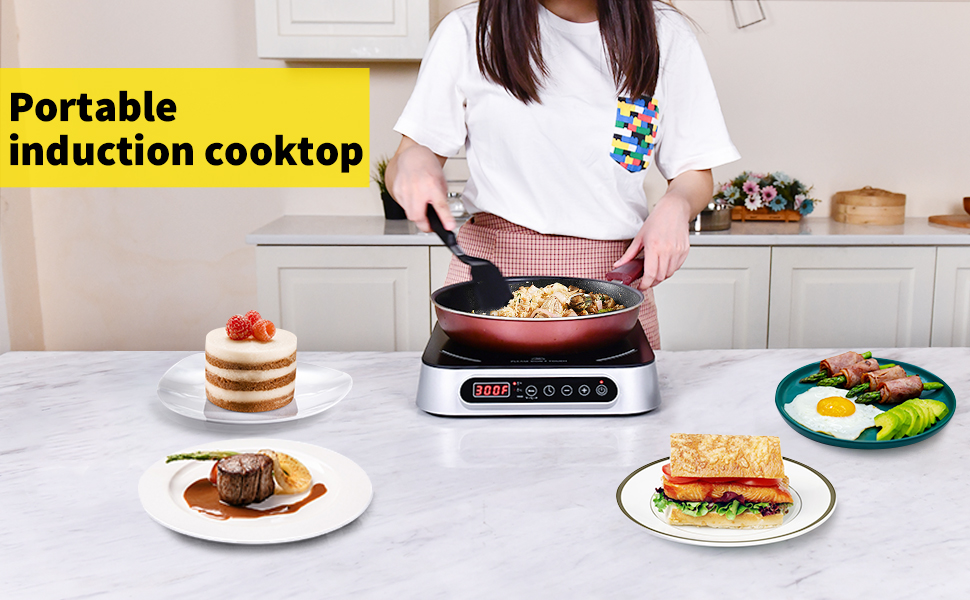 portable induction stovetop burner