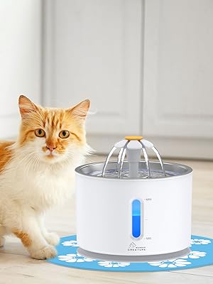 cat water fountain
