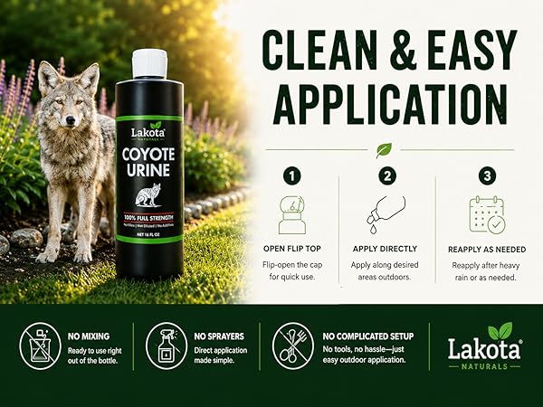 Clean &amp;amp; Easy Application