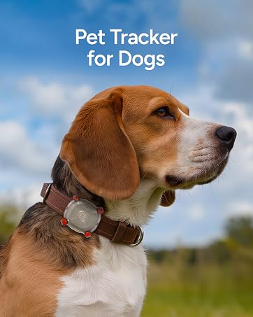 pet tracker