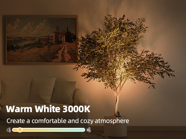 plant spotlight indoor