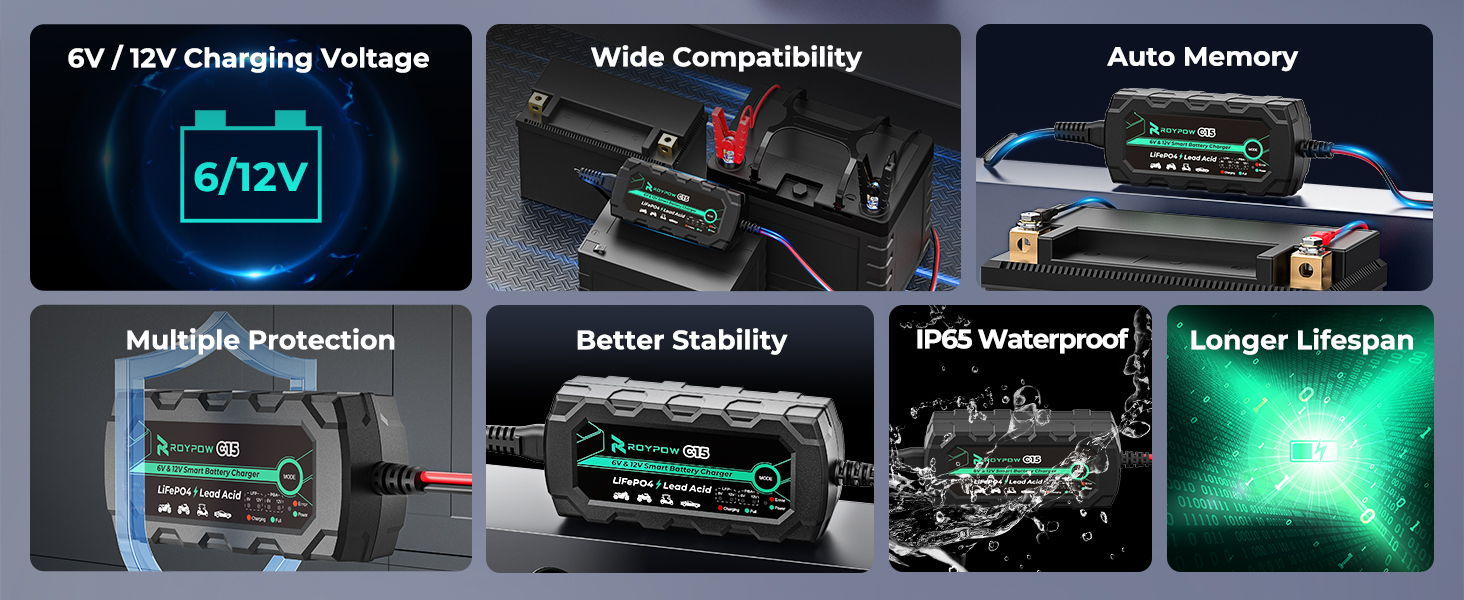 6V 1A Lithium Battery Charger