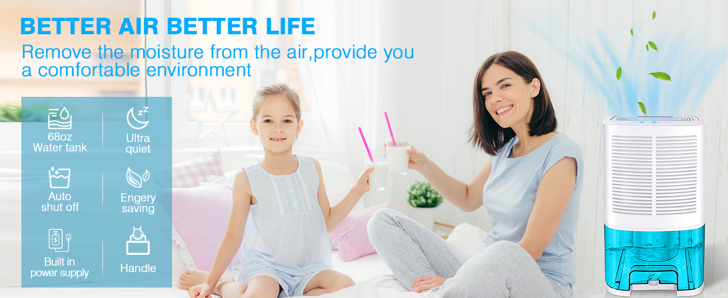 dehumidifier for home