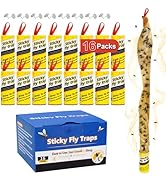 16 Pack Fruit Fly Traps for Indoors, Fly Traps Outdoor, gnat Traps for House Indoor, Fly Strips T...