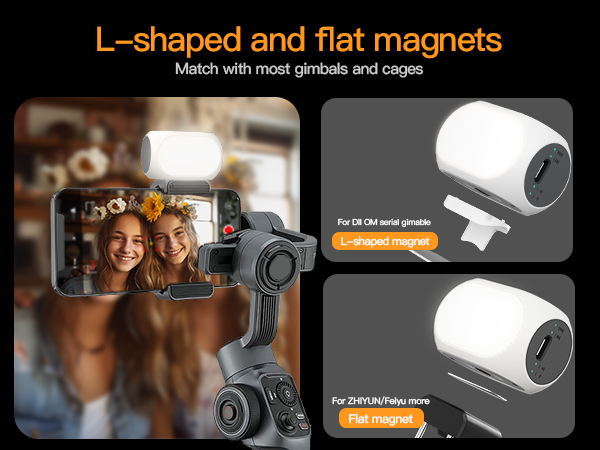 Magnetic selfie light for phone