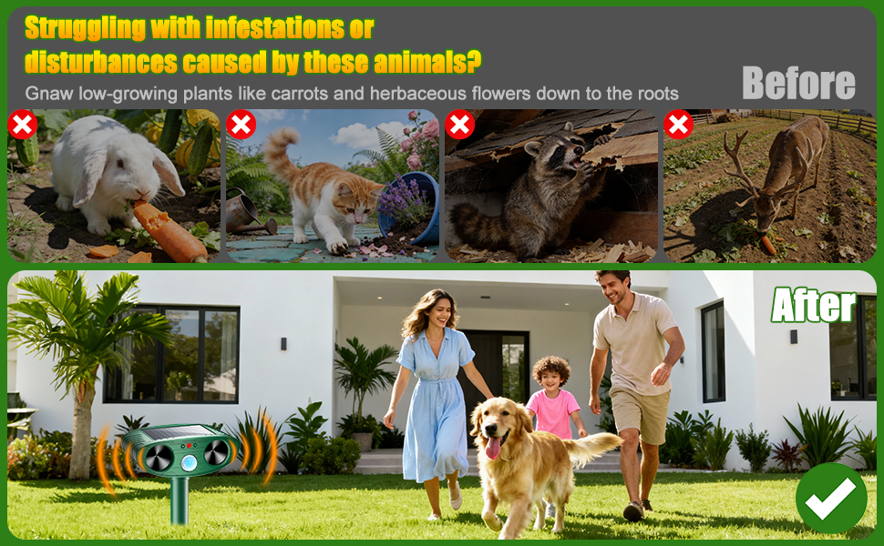 ultrasonic animal repellent