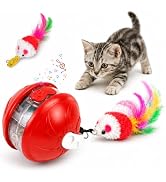 FurryJoy Interactive Cat Toy Ball, Rechargeable Automatic Rolling Smart Cat Toy with Bird Sounds,...