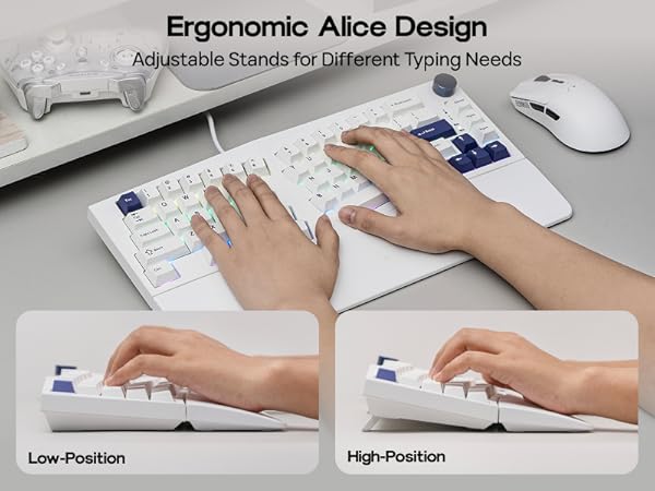 Alice80 Blue