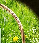 IDEUS Tumbler