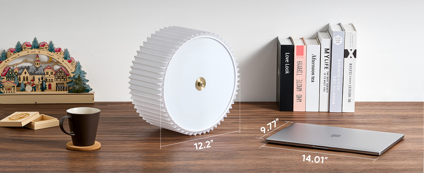 Ceiling Light Fixture