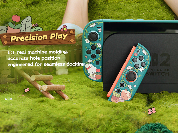 Switch 2 Protective Case