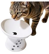 Necoichi Raised Cat Food Bowl – Ceramic Elevated 15° Tilted Cat Bowl for Whisker &amp; Neck Fatigue, ...