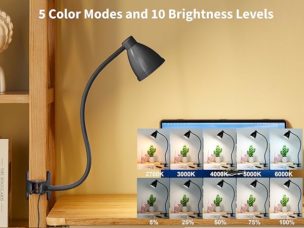 Desk Lamp Reading Light LED Clamp Lamp Flexible Gooseneck Clip on Light for Bed Bedside